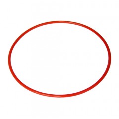 GUARNIZIONE CALDAIA DE LONGHI ORIGINALE 5328163000