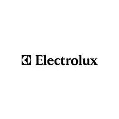 FILTRO CARBONE REX ELECTROLUX TYPE47