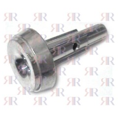 BRUCIATORE MEDIO BECCHI