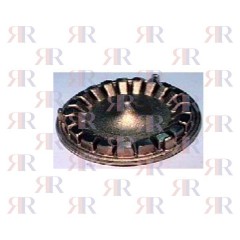 SPARTIFIAMMA GRANDE BECCHI