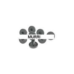 KIT RUOTE CARRELLO CESTO INFERIORE LAVASTOVIGLIE REX ZANUSSI 50286965004